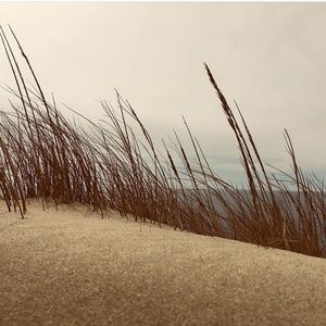 Quality vintage pieces // Cape Cod style